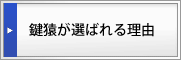 �������I�΂�闝�R